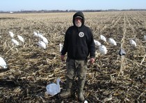 Snow Goose Hunts