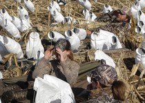 Snow Goose Hunts