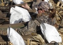 Snow Goose Hunts