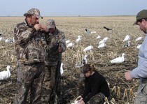 Snow Goose Hunts