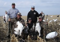 Snow Goose Hunts