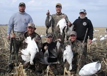 Snow Goose Hunts