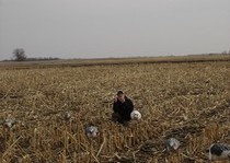 Snow Goose Hunts