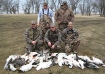 Snow Goose Hunts