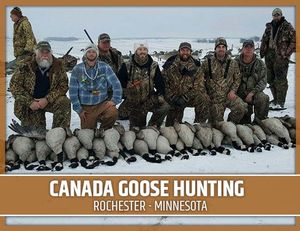 Canada Goose Hunting: Rochester - Minnesota