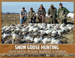 Snow Goose Hunting: South Dakota, Missouri, Nebraska, & Arkansas